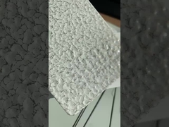 revêtement en poudre de texture de marteau blanc