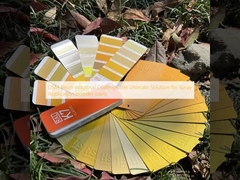 DSM Resin Industrial Coatings La solution ultime pour l'application au pistolet de peinture en poudre