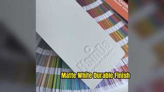 Finition durable de revêtement en poudre blanc mat RAL 9003