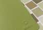 Résine de polyester de couleur de Pantone enduisant la haute performance pour des meubles d'acier en métal
