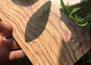 Le grain en bois dénomme la peinture de revêtement de poudre de polyester pour les profils en aluminium