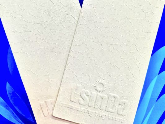 Poudre de revêtement à texture de peau de crocodile blanc pour la décoration intérieure et revêtement en poudre texturé