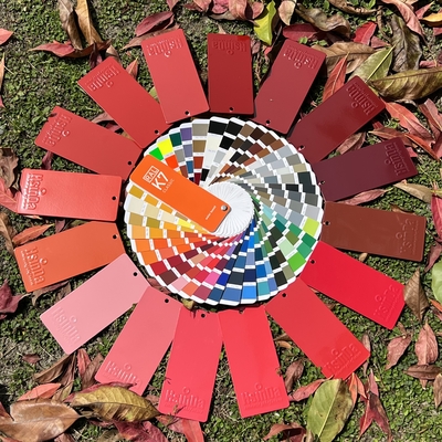 Couche en poudre à l' intérieur Couleurs personnalisées Polyester époxy